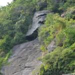 OTRA_2017_CN_0152 (August 27, 2017)